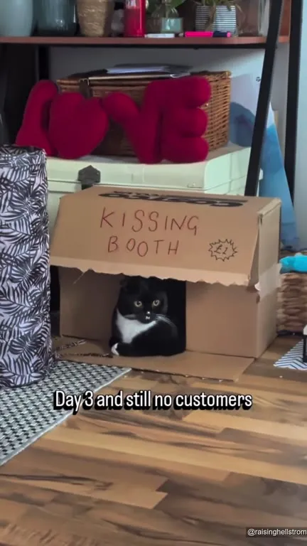 Cat's Empty Kissing Booth