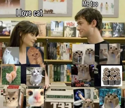 I Love Cats Me Too