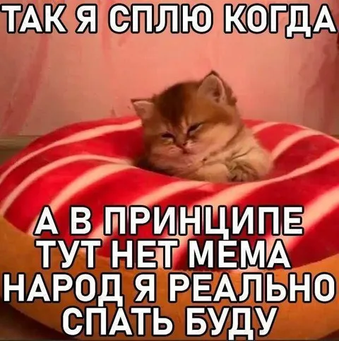 Кот, который реально будет спать