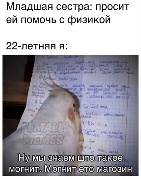 Магнит — это магазин
