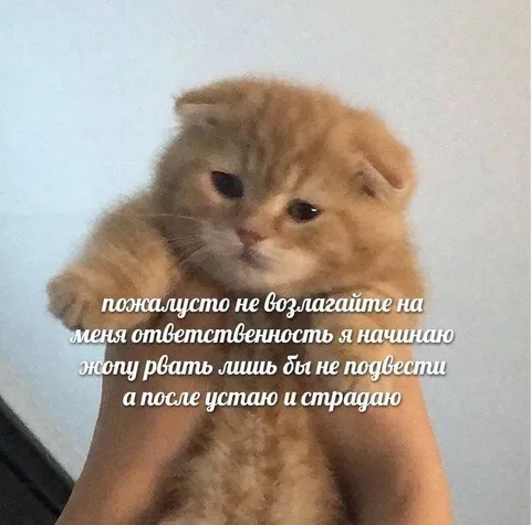 Не возлагайте на меня ответственность