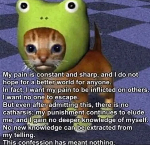 Sad Cat Confession