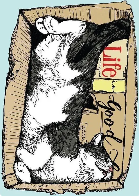 Cats in a Box Life Is Good