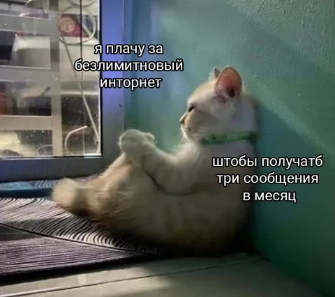 Кот плачет за интернет