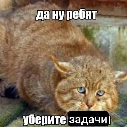 Кот просит убрать задачки