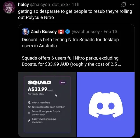 Discord Polycule Nitro