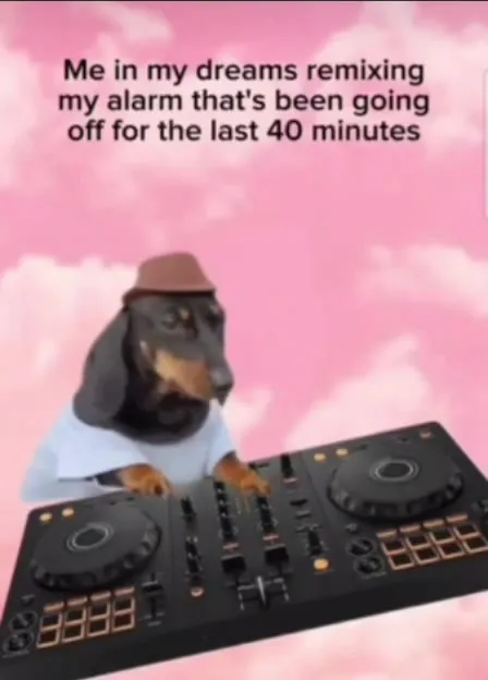Dachshund DJ Remixing the Alarm