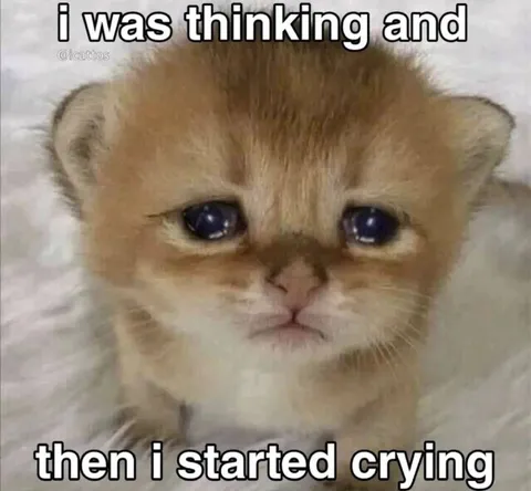 I Was Thinking Then I Cried