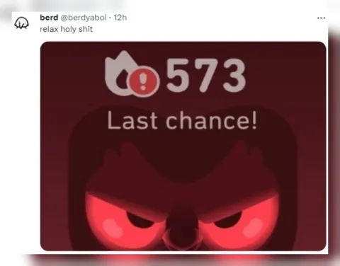 Angry Owl Last Chance