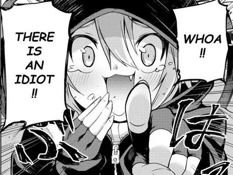 There Is an Idiot