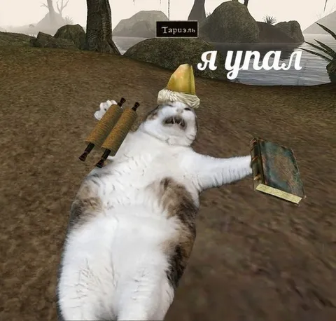 Кот случайно упал