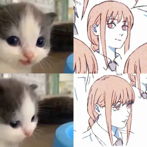 Котёнок и Макима