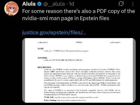 NVIDIA SMI Man in Epstein Files