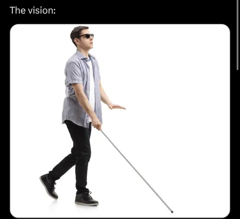 The Vision Literally