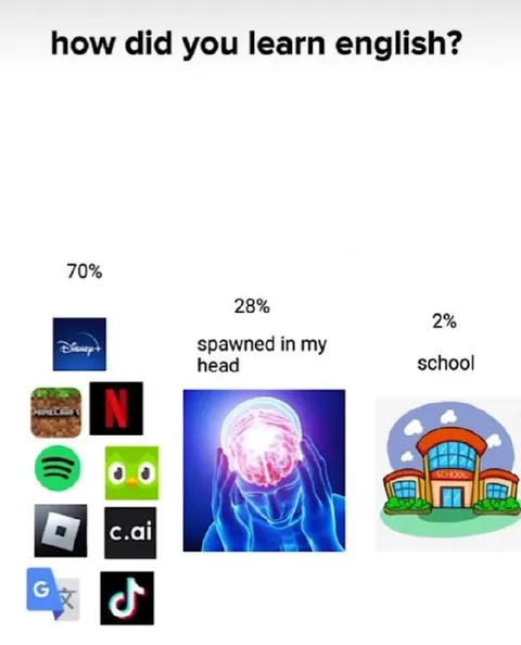 How Did You Learn English?