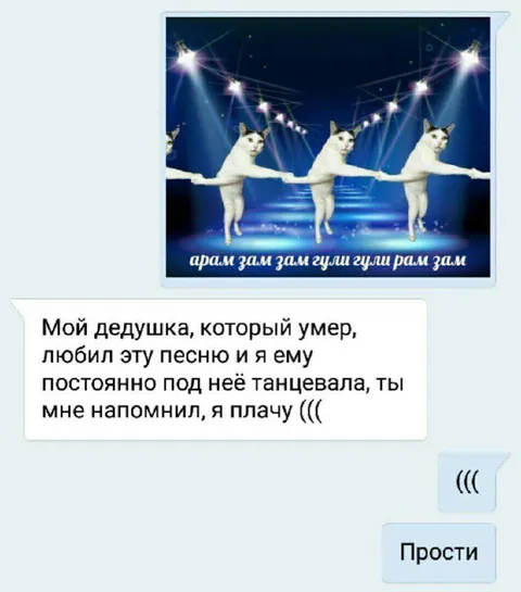 Танцующие коты напомнили о дедушке