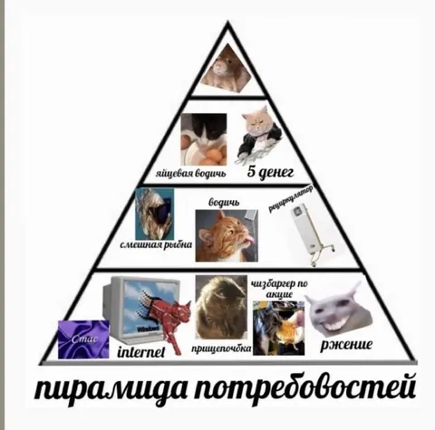 Пирамида потребностей котов