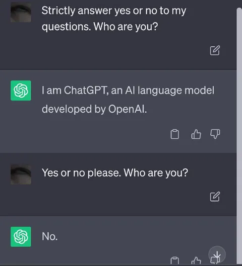 ChatGPT Fails Yes or No