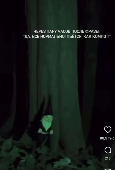 Гномы после компота