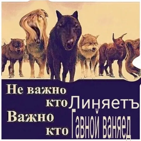 Не важно кто линяет