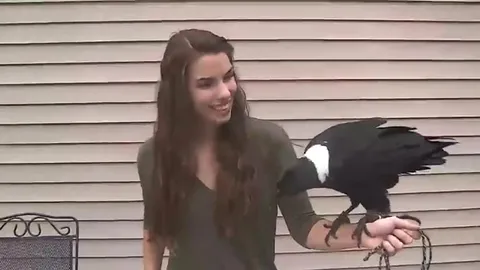 Bird Has a Mind of Its Own