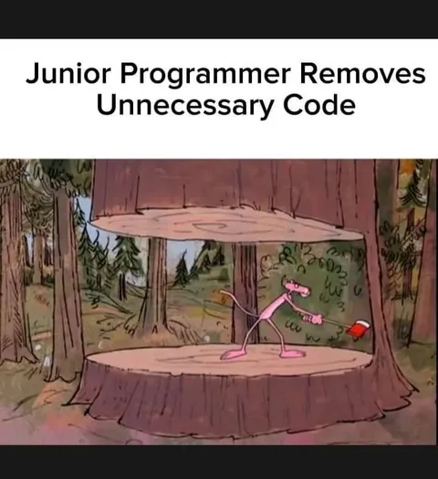 Junior Programmer Removes Code