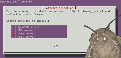 Moth Chooses LAMP Server