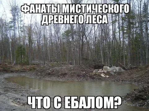 Фанаты мистического древнего леса