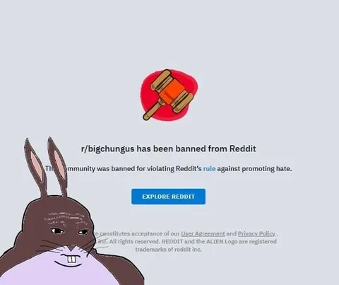 Big Chungus Banned From Reddit