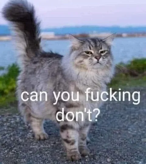 Can You Fucking Don't Cat