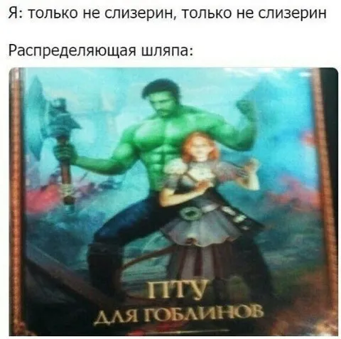 Распределяющая шляпа отправила в ПТУ