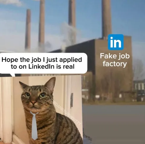Fake Job Factory on LinkedIn