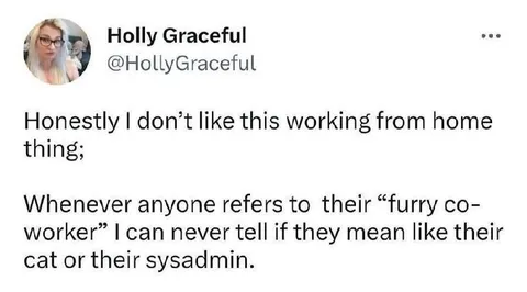 Confusing Furry Coworkers