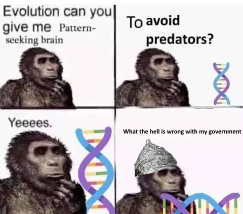Evolution Gives a Pattern-Seeking Brain