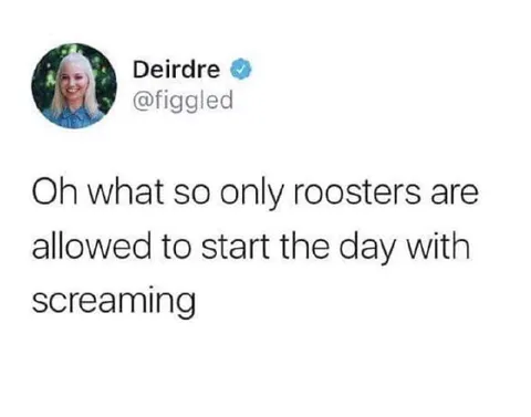 Only Roosters Can Scream