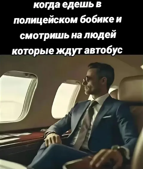 Едешь в полицейском бобике