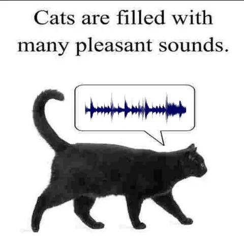 Cat Filled With Pleasant Sounds