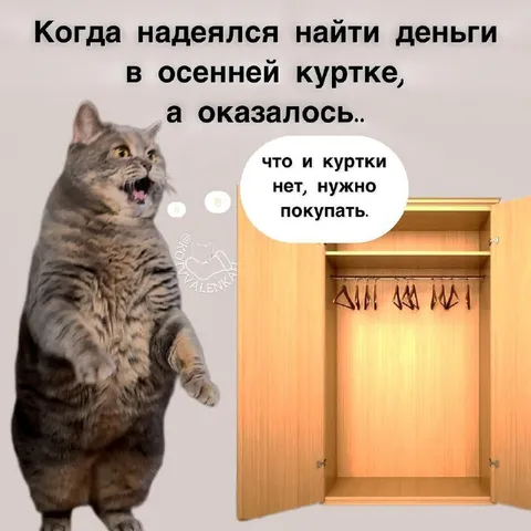 Куртка оказалась не нужна