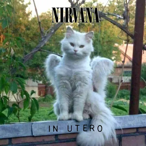 Кот Nirvana In Utero