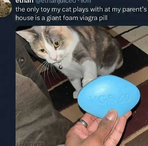 Cat's Favorite Foam Toy