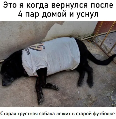 Вернулся после четырёх пар