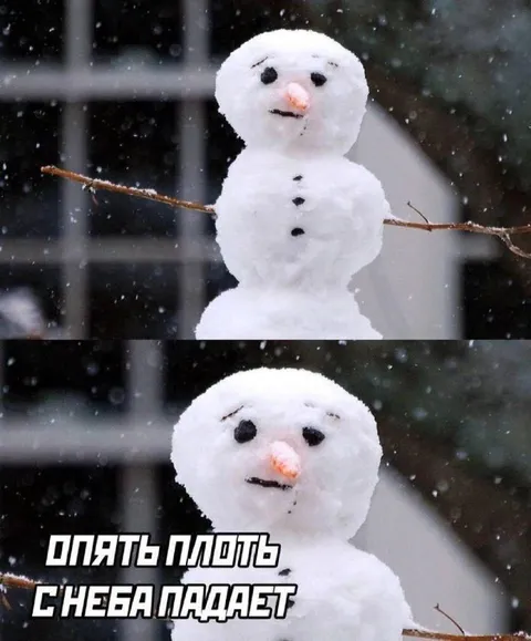 Опять плоть снега падает