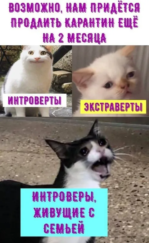 Карантин продлили ещё на 2 месяца