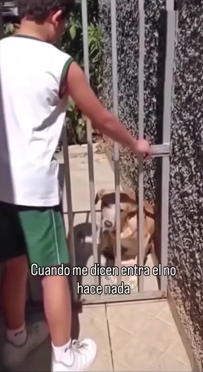 Cuando me dicen entra