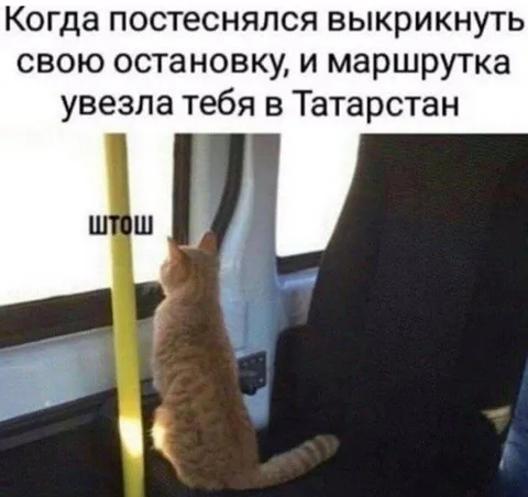 Маршрутка увезла в Татарстан