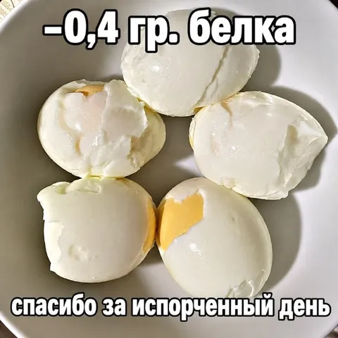 Испорченный день и белок