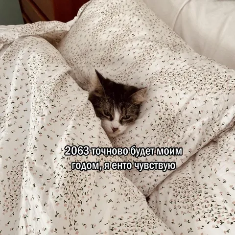 2063 будет моим годом