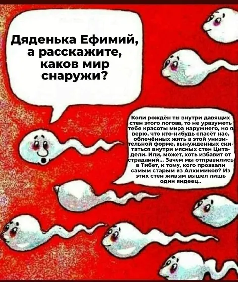 Сперматозоиды спрашивают о мире
