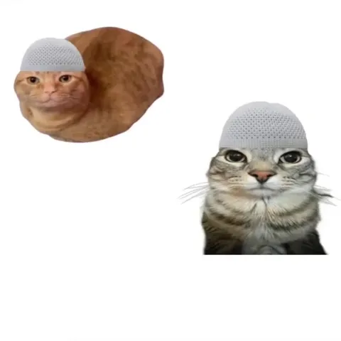 Assalamualaikum, Everynyan