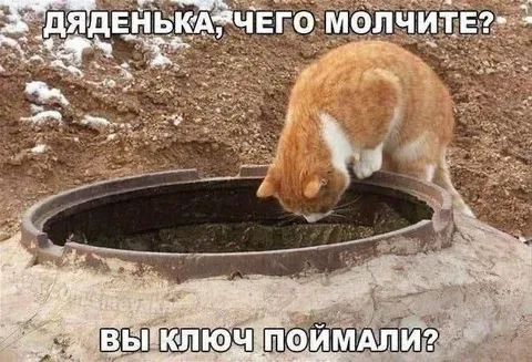Кот ловит ключ в люке